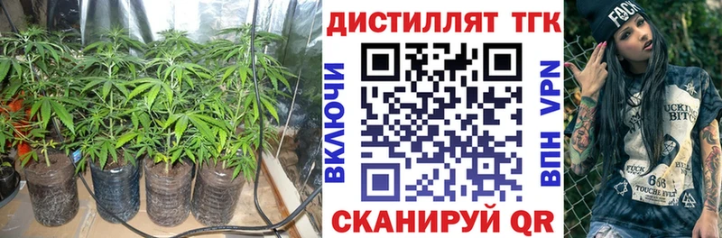 маркетплейс официальный сайт  МЕГА сайт  ТГК THC oil  Пошехонье  наркота 