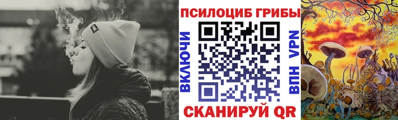 Псилоцибиновые грибы MAGIC MUSHROOMS  сколько стоит  Пошехонье 